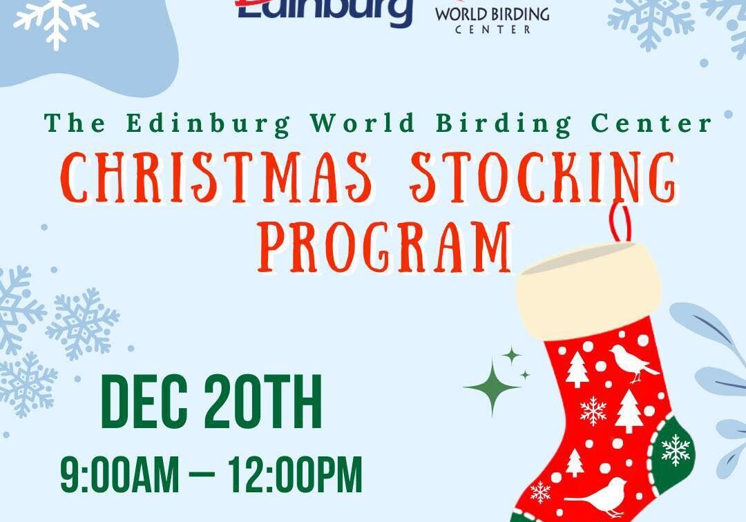Christmas Stockiongs