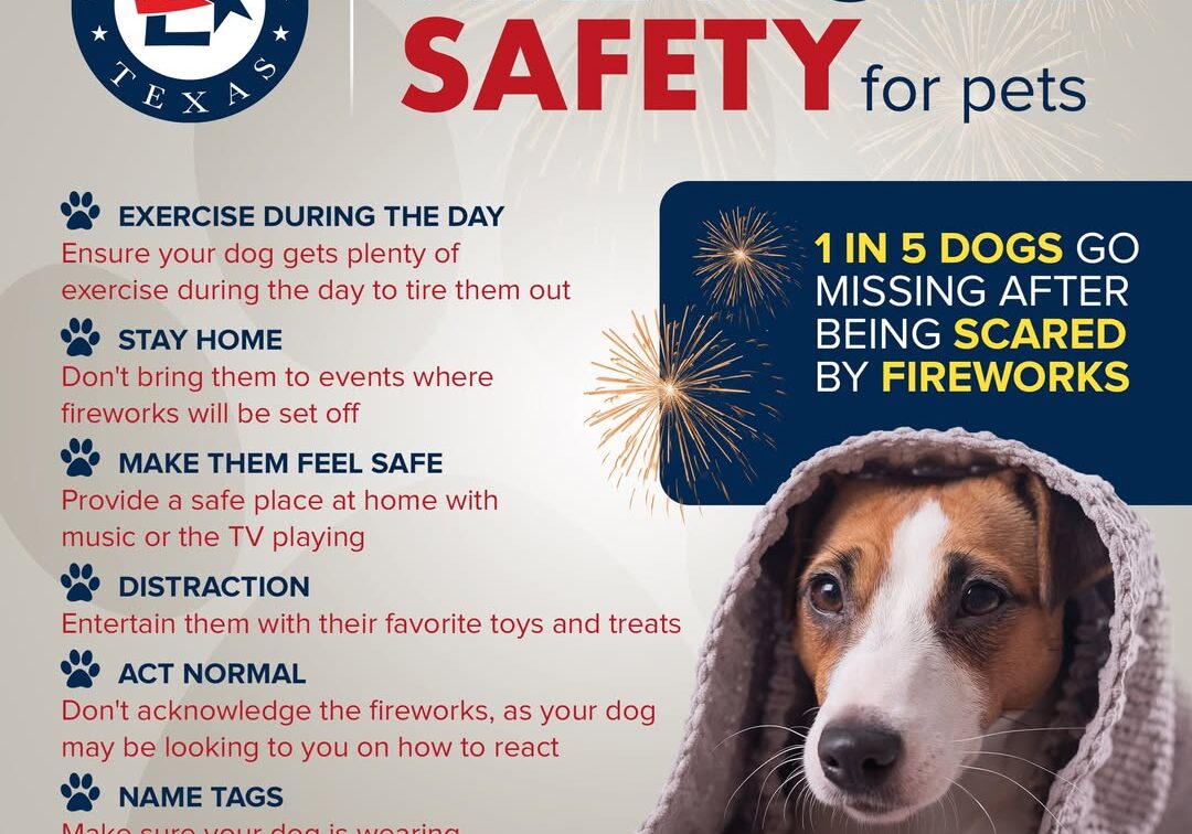 Firework safety