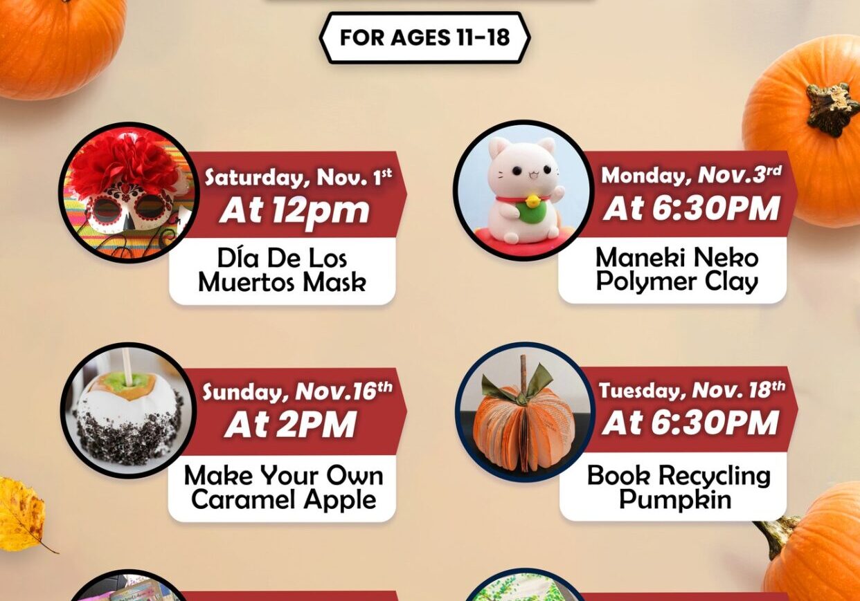 Nov 25 library programs