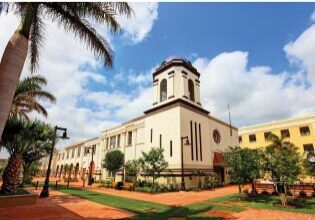 Book cover: Rio Grande Valley building with palms