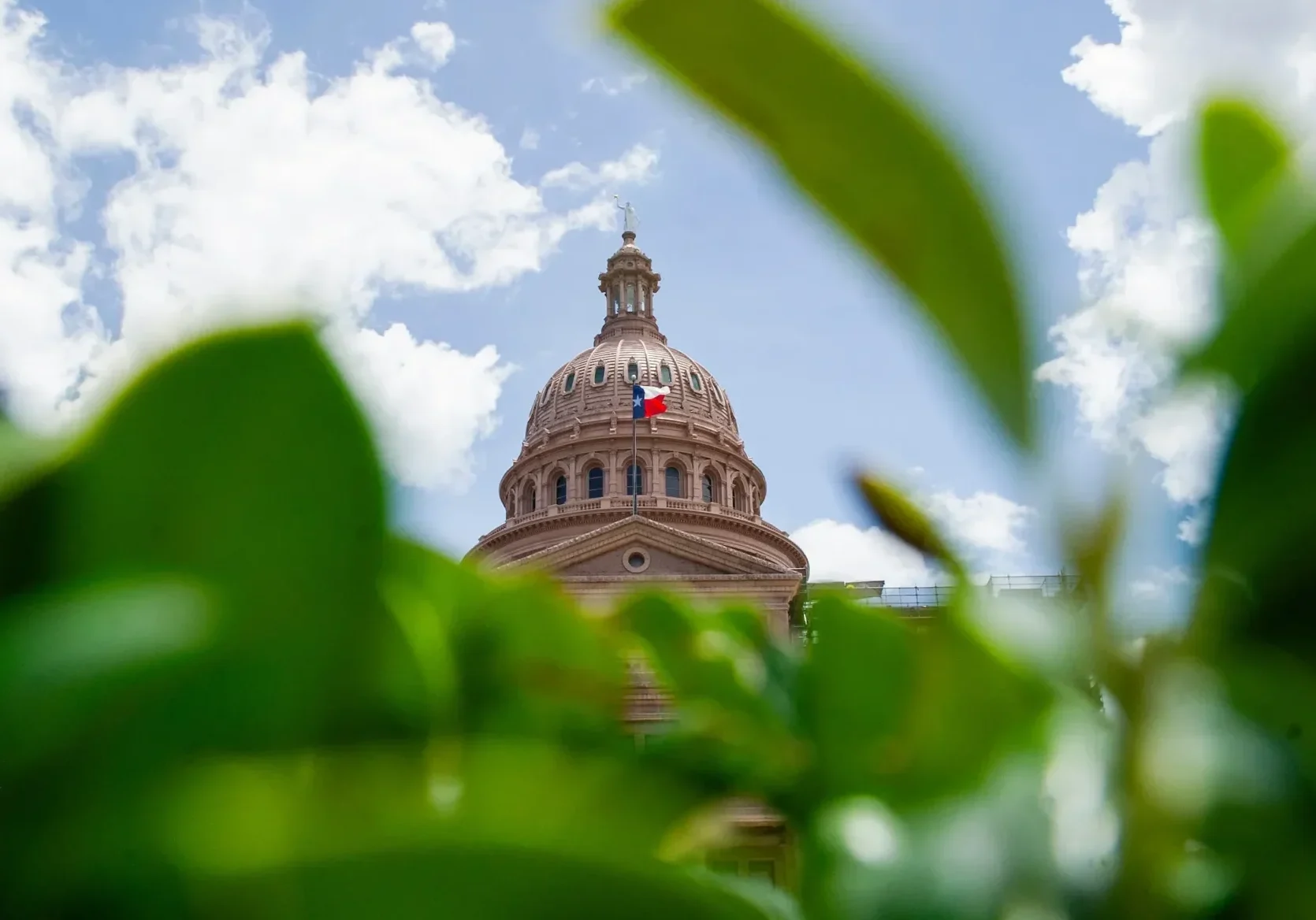 Texas Capital