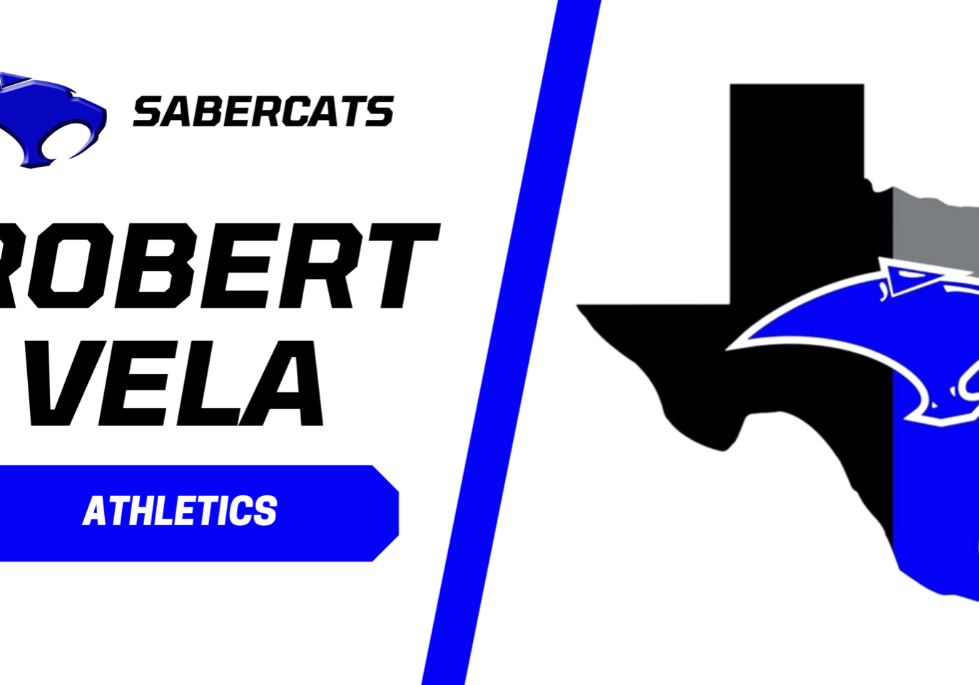 Robert Vela Sabercats athletics Texas logo