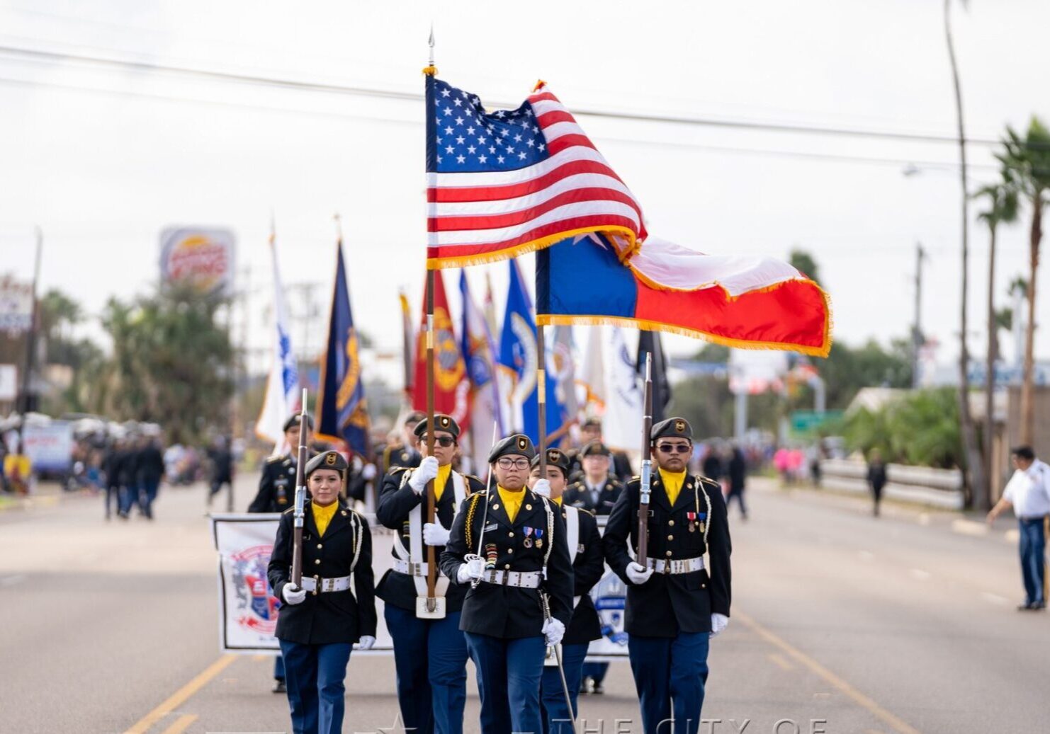 Vets Day Parade