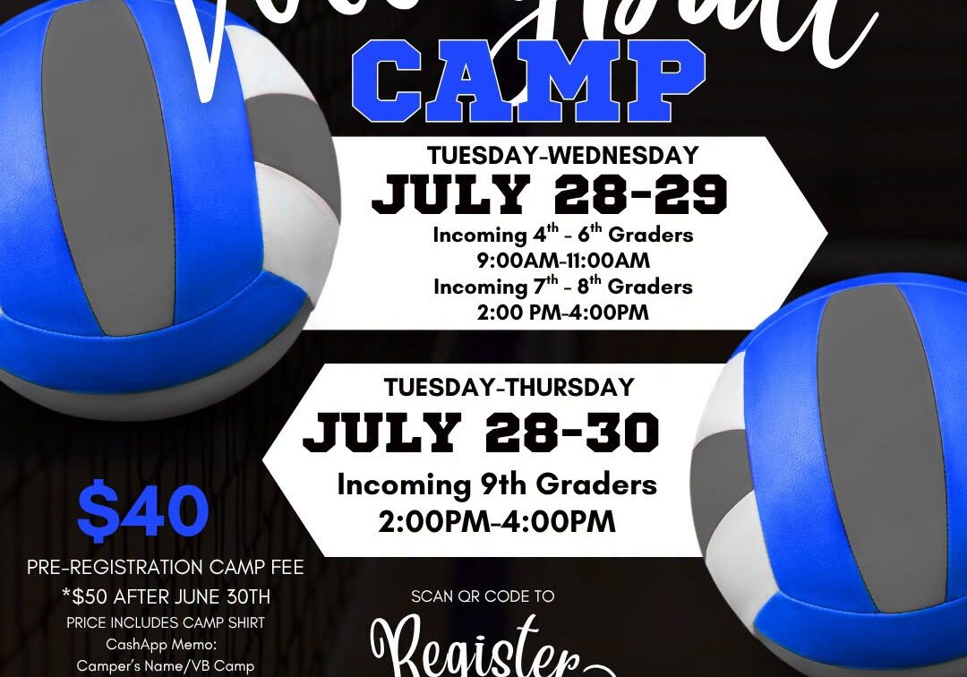 Volley Ball Camp