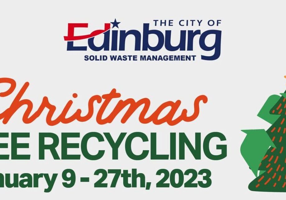 Xmas Tree Recycling